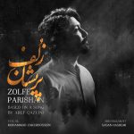 دانلود آهنگ محمد ذاکرحسین زلف پریشان